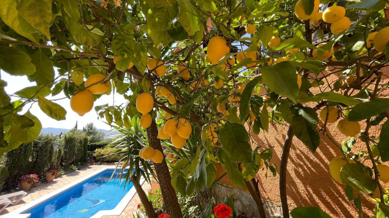 Bellavista Holiday home *